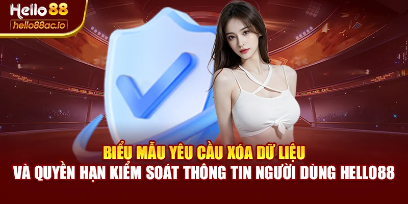 Biểu mẫu yêu cầu xóa dữ liệu và quyền hạn kiểm soát thông tin người dùng Hello88