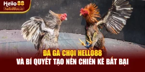 Đá Gà Chọi Hello88 Và Bí Quyết Tạo Nên Chiến Kê Bất Bại